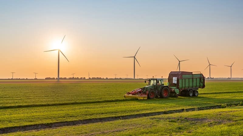 tractor with trailer harvesting on a field near wind turbines at sunset