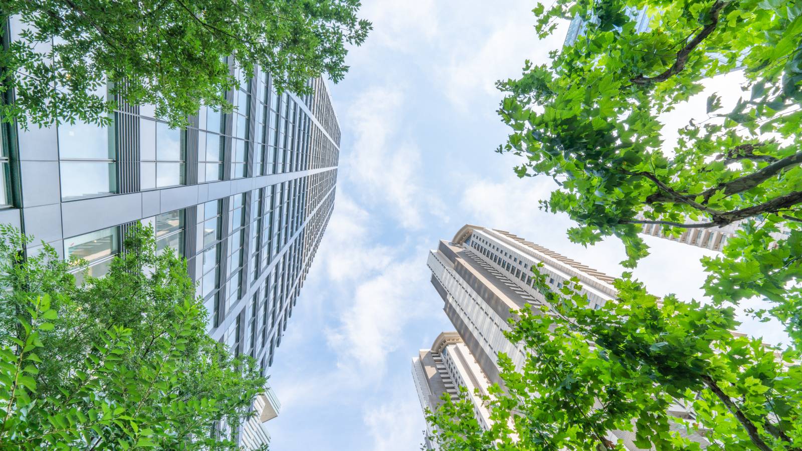 Net Zero