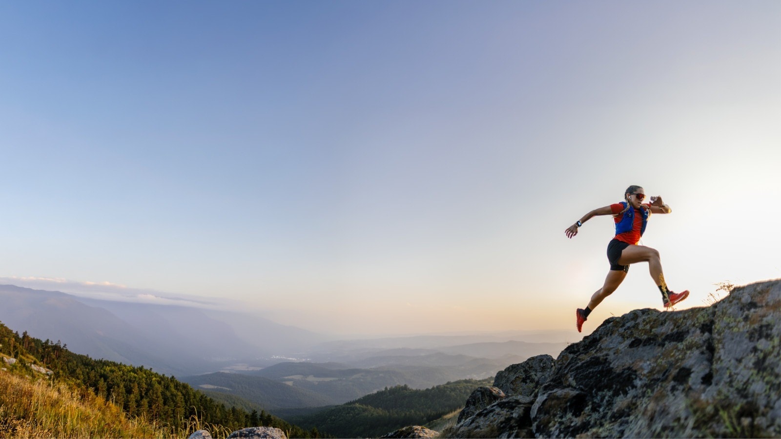 PwC Global Sports Survey