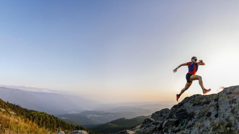 PwC Global Sports Survey (9th Edition)