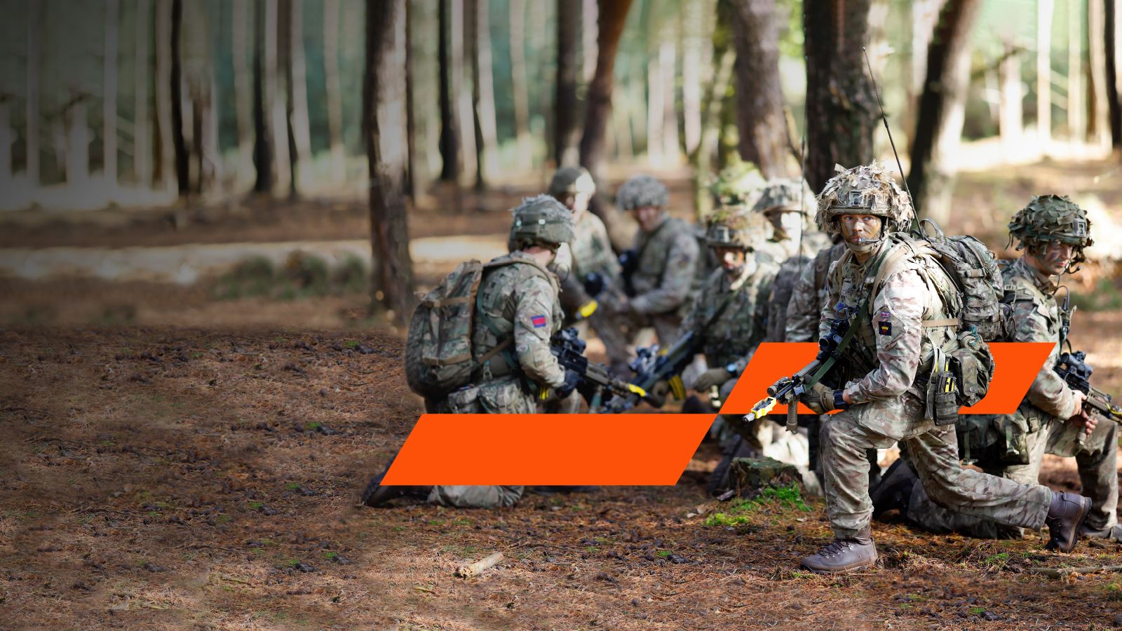 Armed forces in action