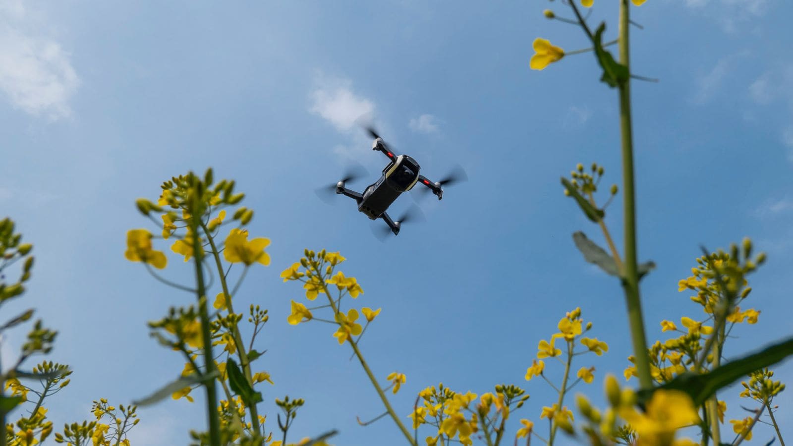 drone flying over field