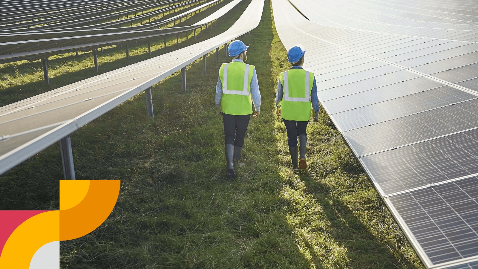 engineers in safety wear walking through solar farm