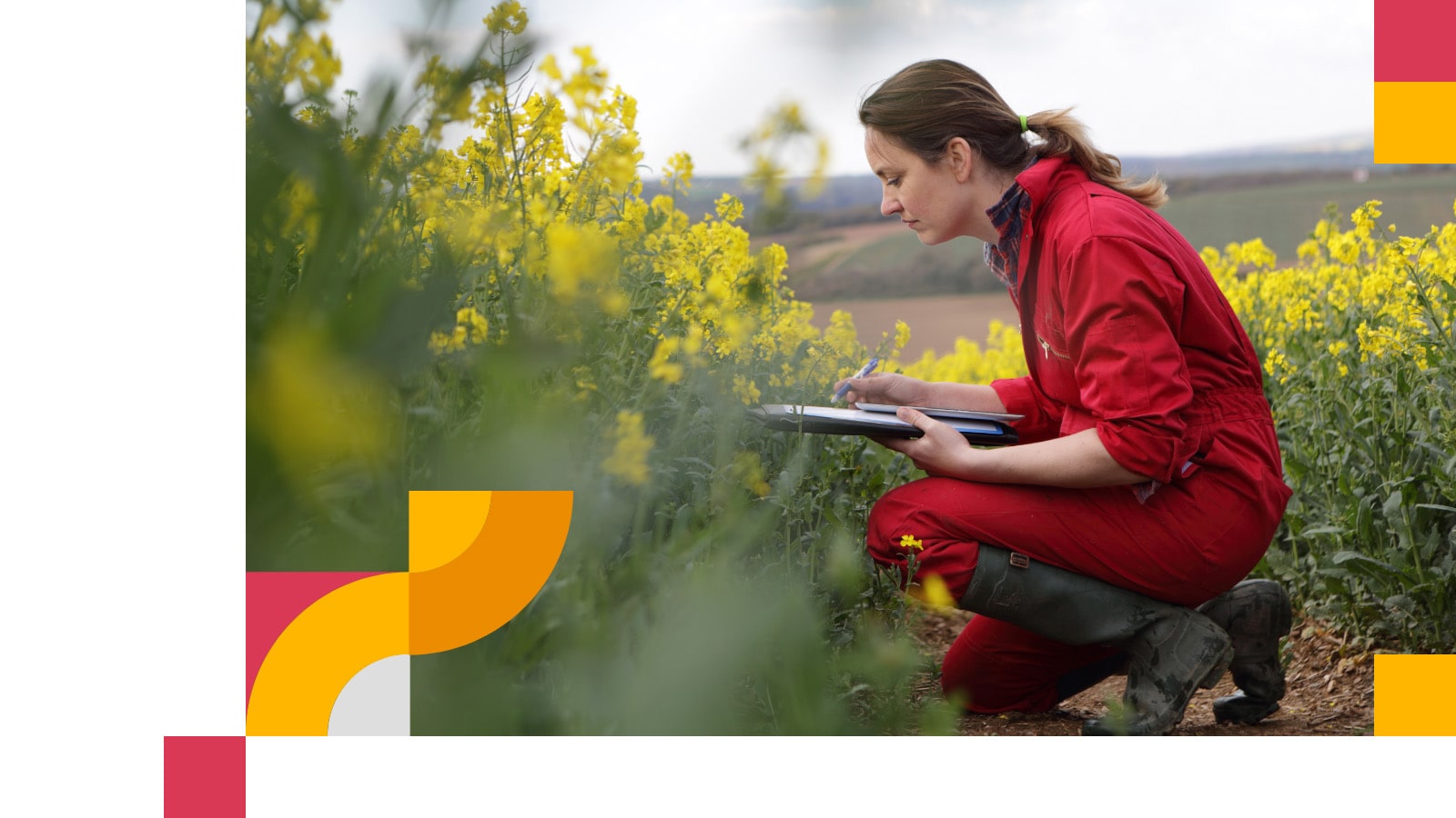 Green Jobs Barometer PwC UK